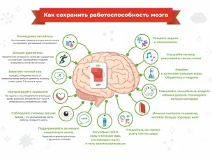 Семь столпов здорового мозга